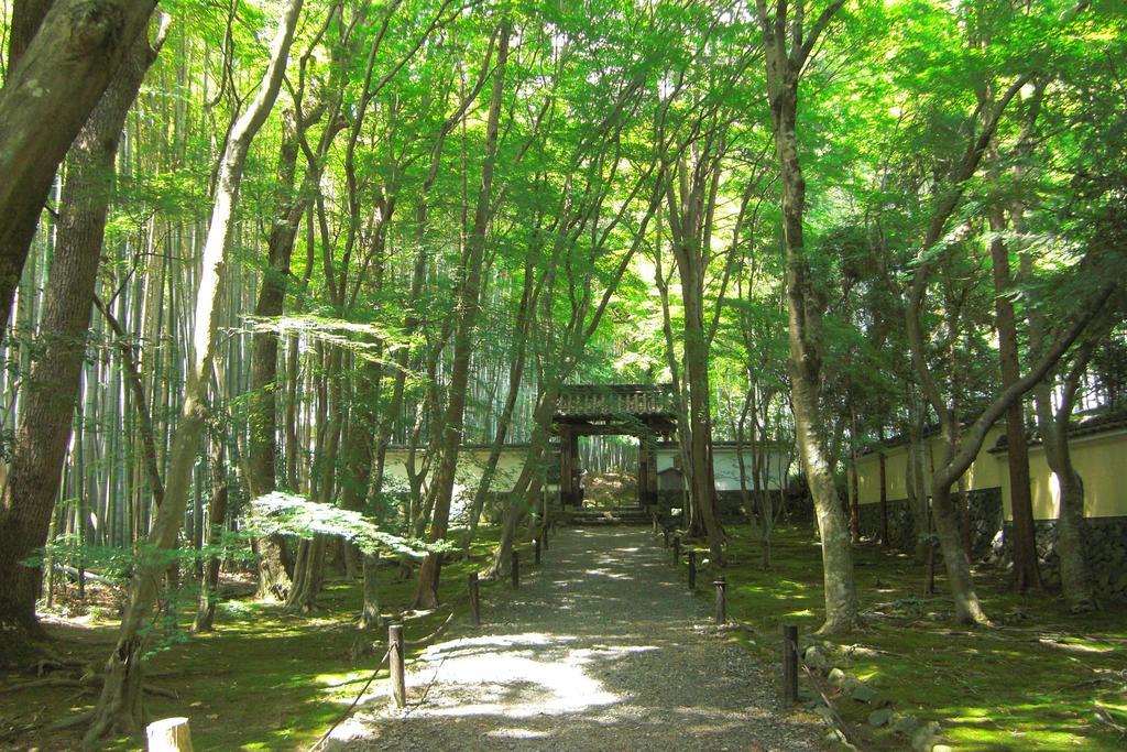 アパート Saizen 松室