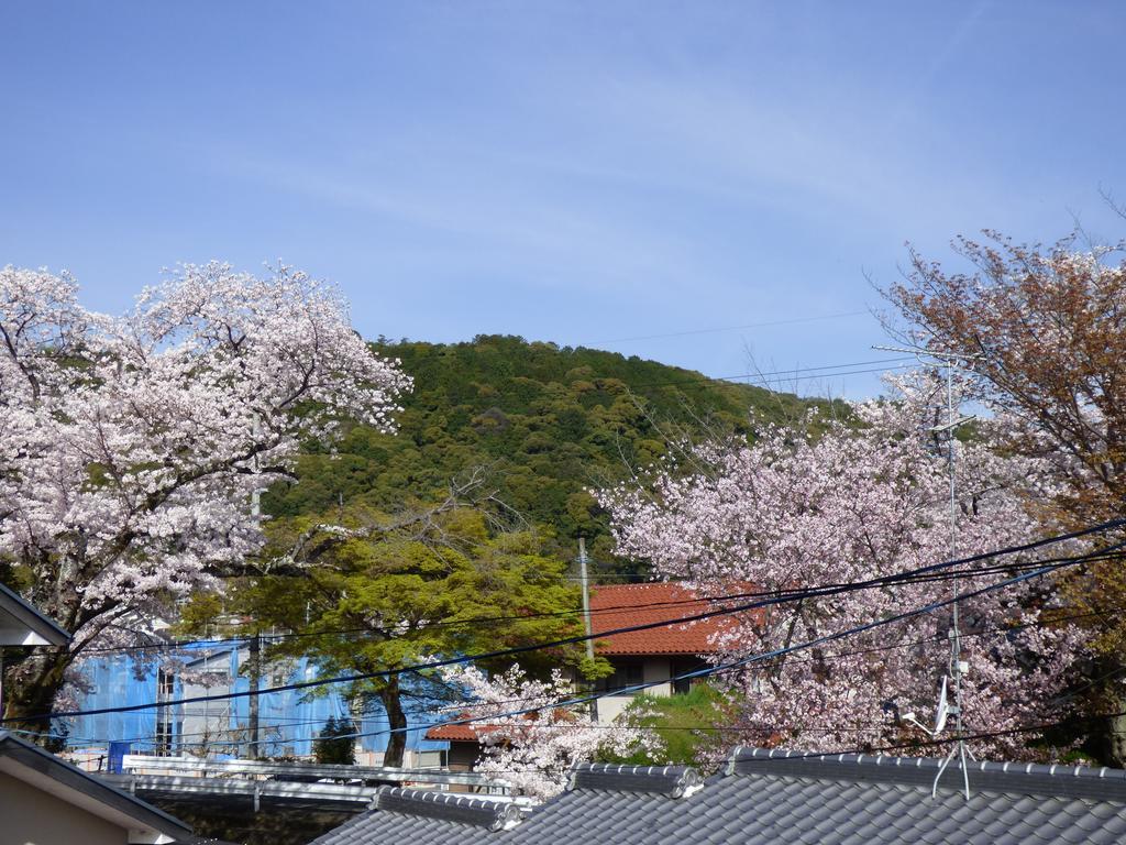 Saizen 松室 京都市