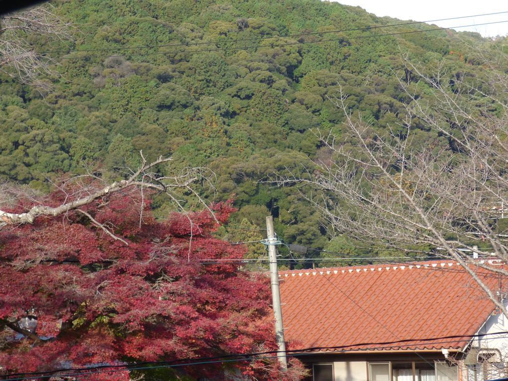 Saizen 松室 アパート