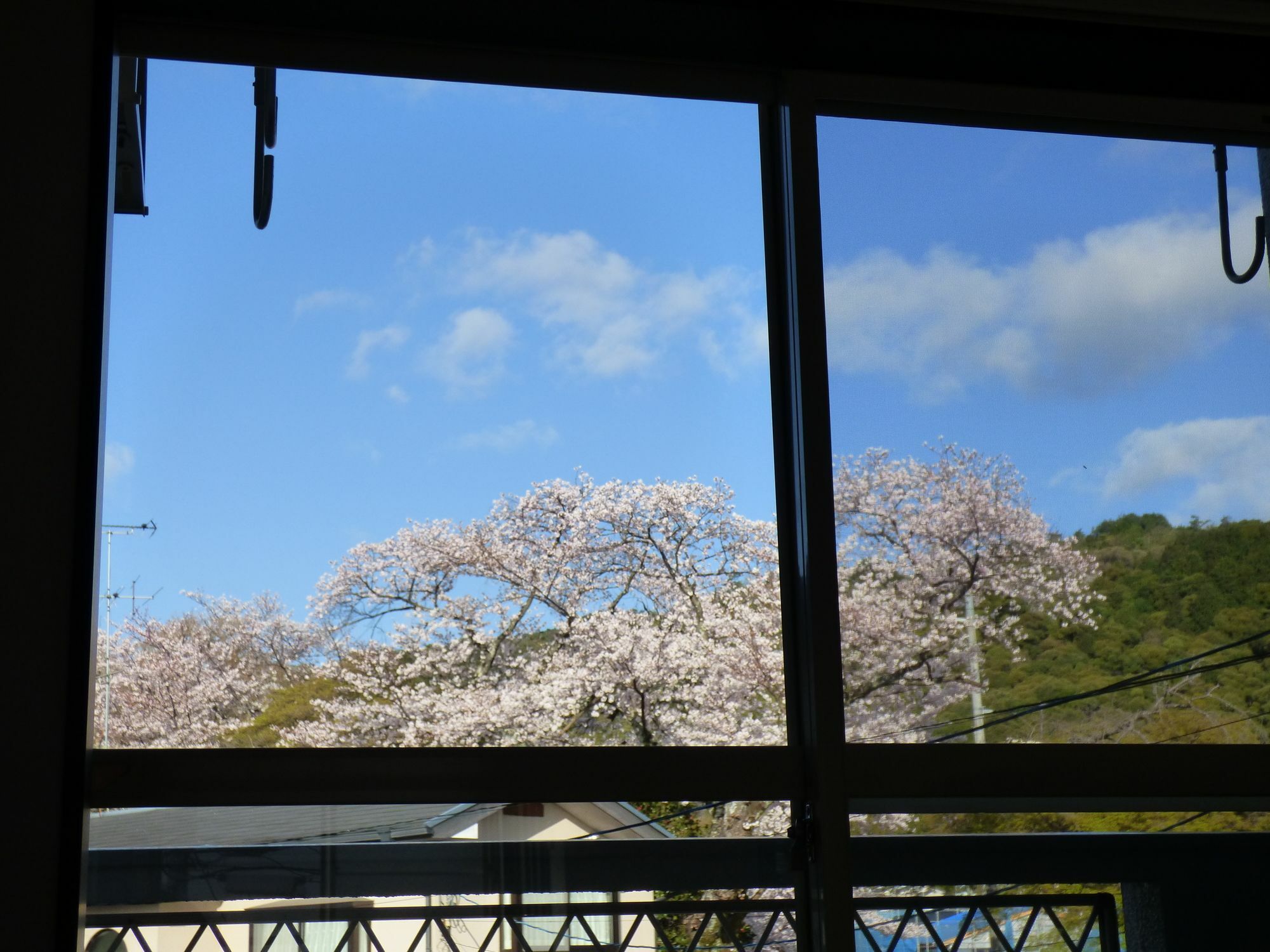 アパート Saizen 松室 京都市