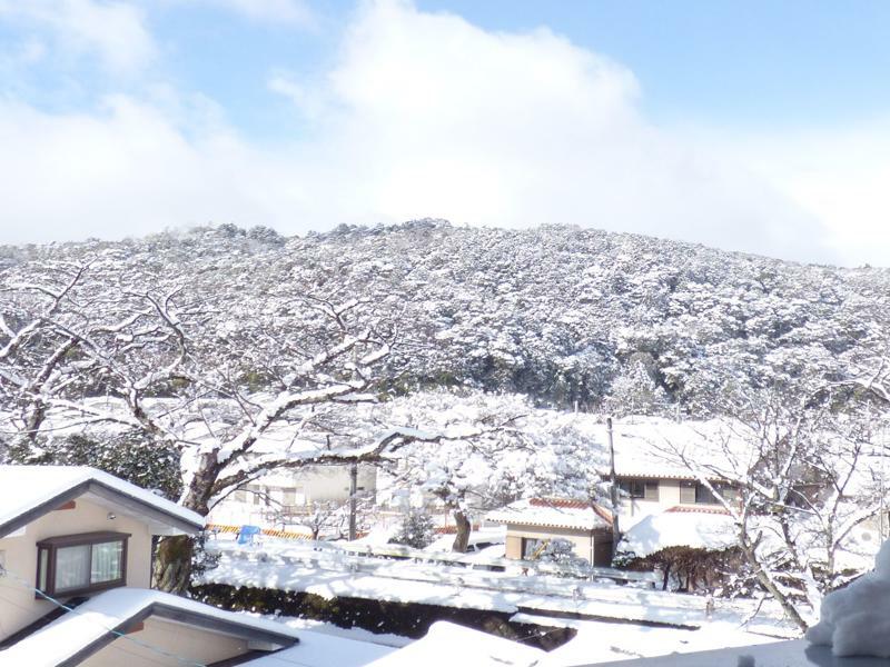 Saizen 松室 *