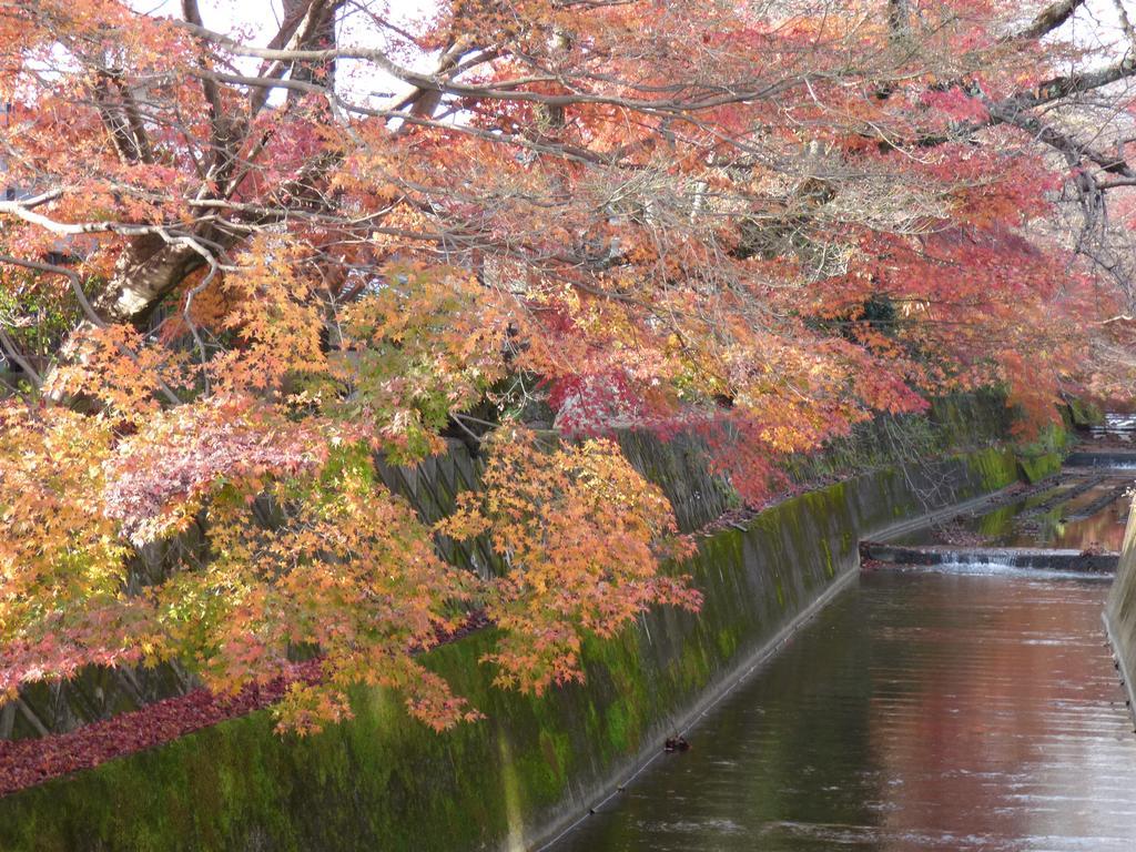 Saizen 松室 *
