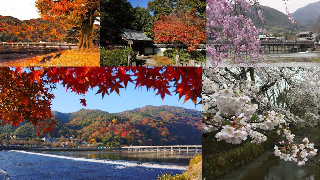 Saizen 松室 アパート *